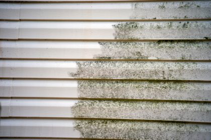 How to Prevent Mold on the House's Exterior