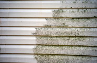 How to Prevent Mold on the House's Exterior